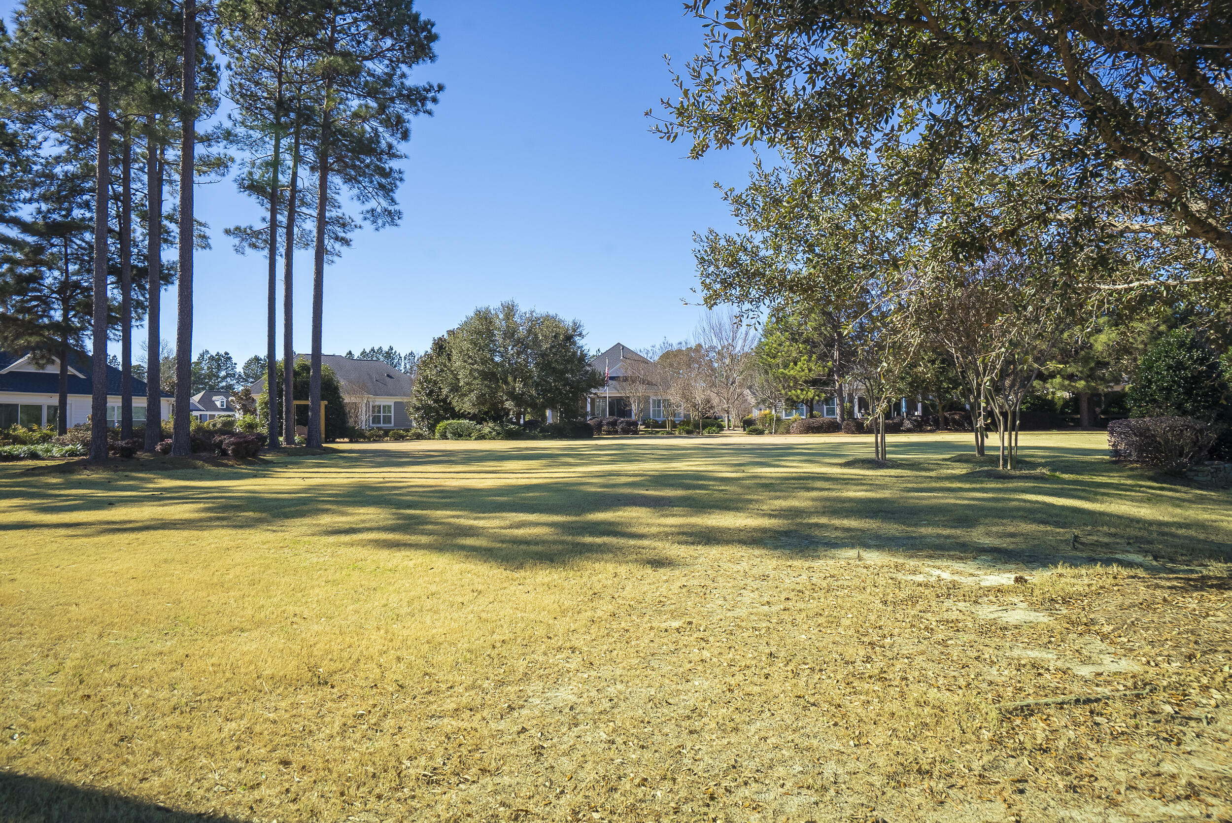 132 Pinyon Pine Loop