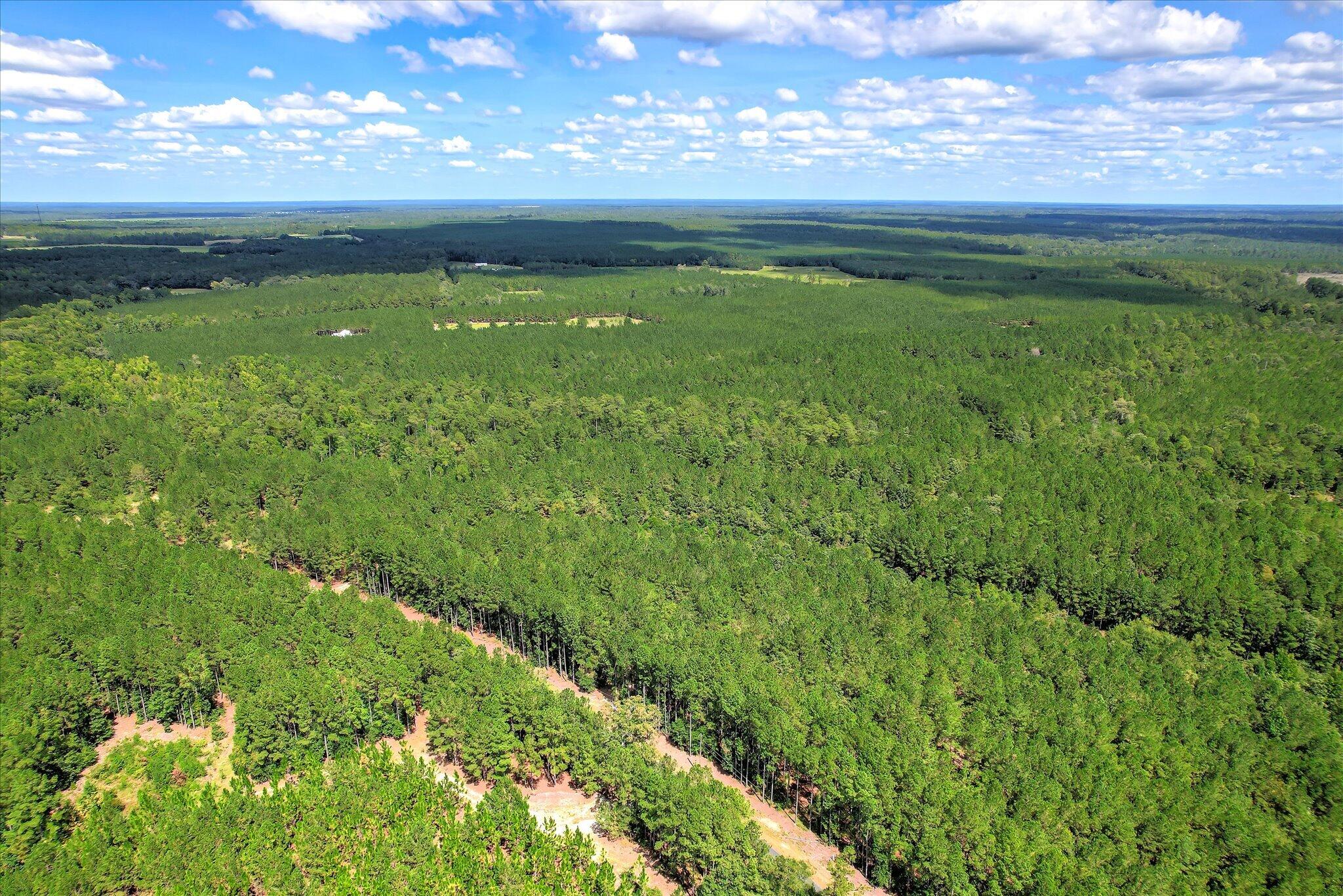 64.68 Acre Mt Beulah Road