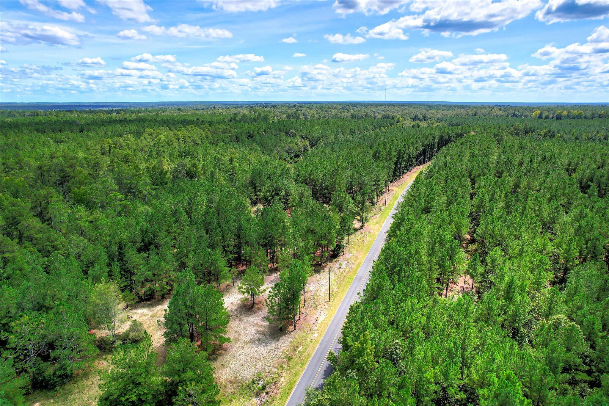 64.68 Acre Mt Beulah Road