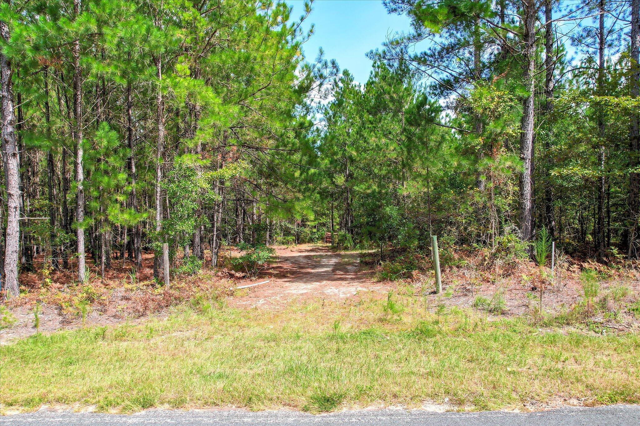 64.68 Acre Mt Beulah Road