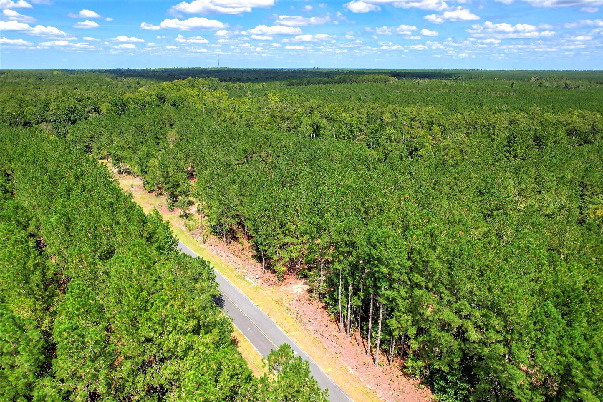 64.68 Acre Mt Beulah Road