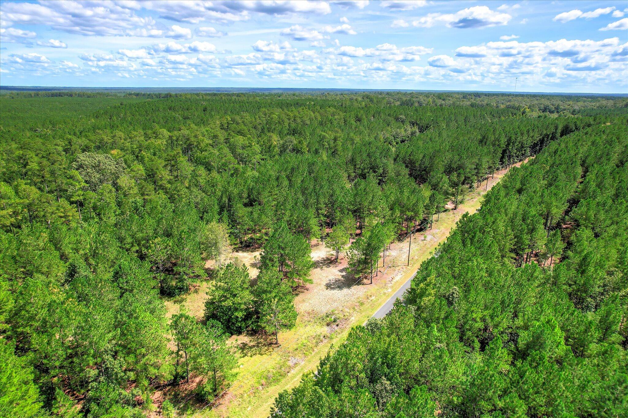 64.68 Acre Mt Beulah Road