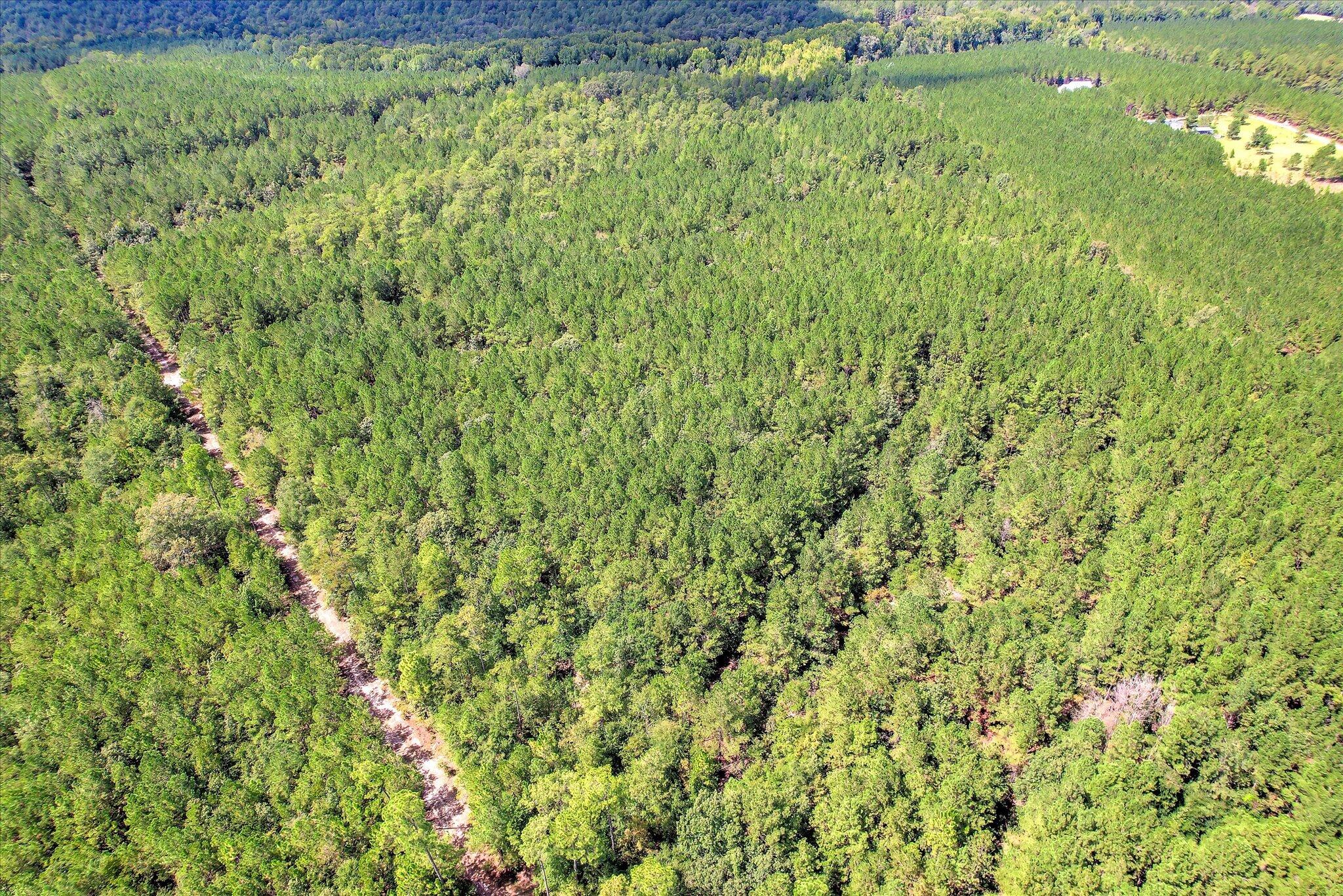 64.68 Acre Mt Beulah Road