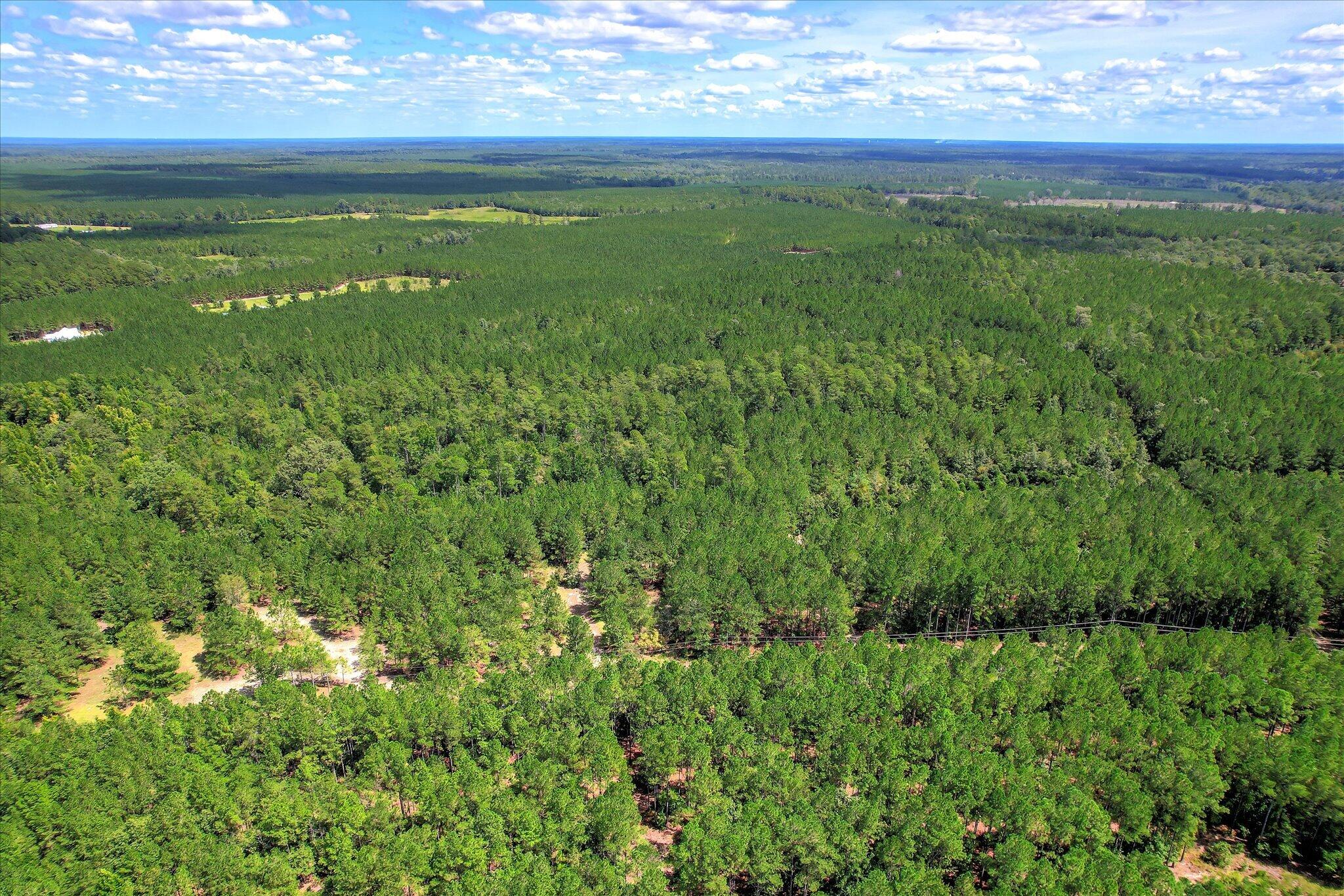64.68 Acre Mt Beulah Road