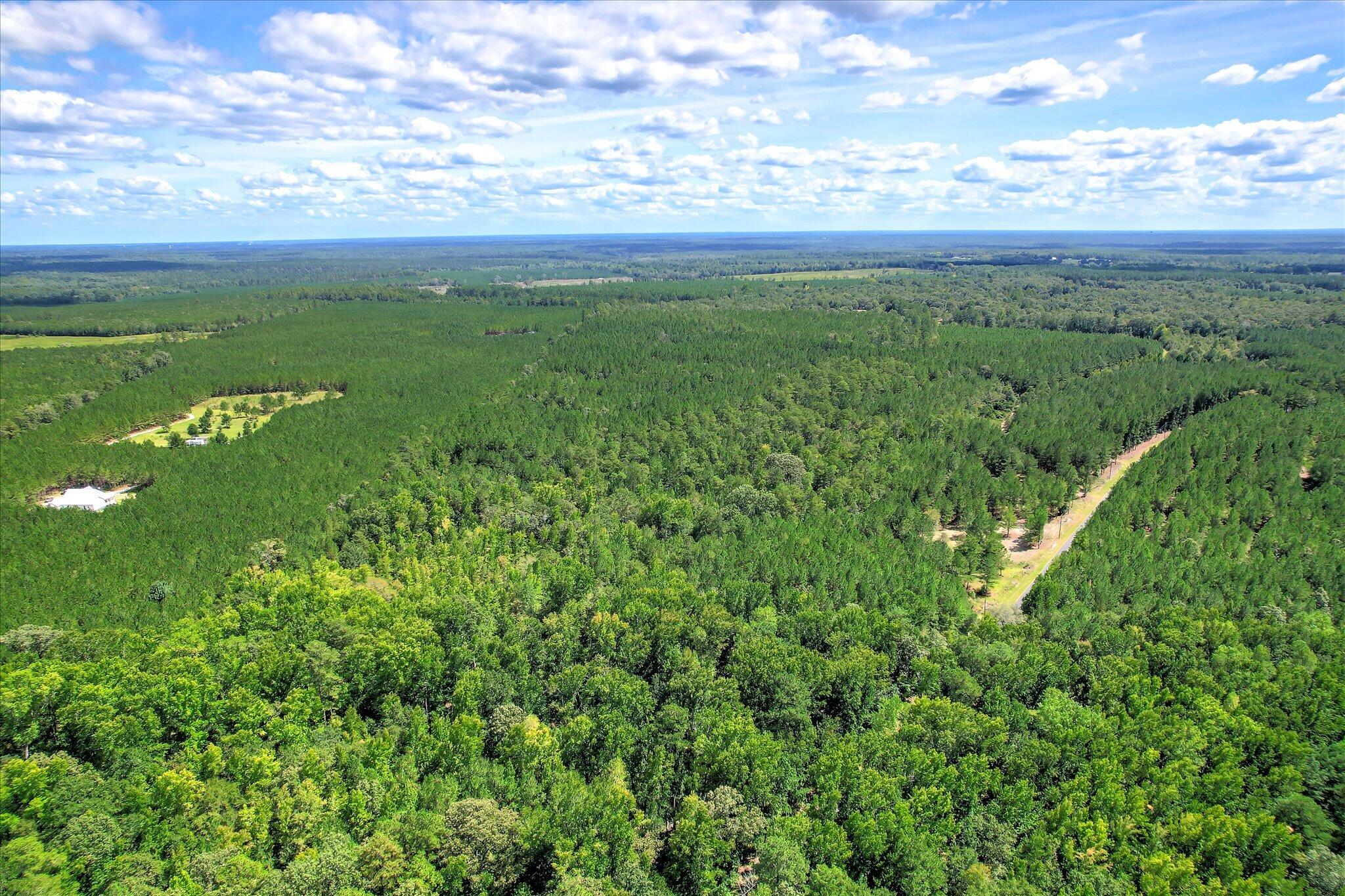 64.68 Acre Mt Beulah Road