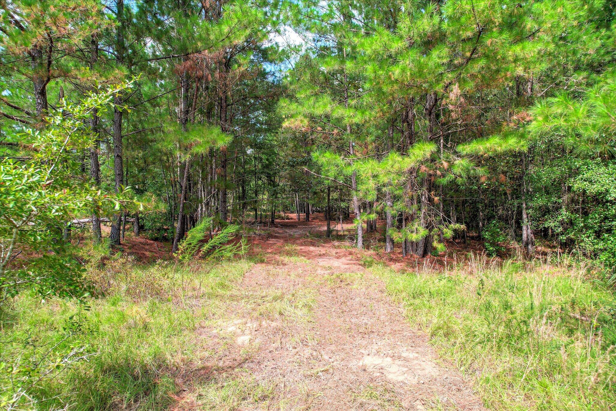 64.68 Acre Mt Beulah Road