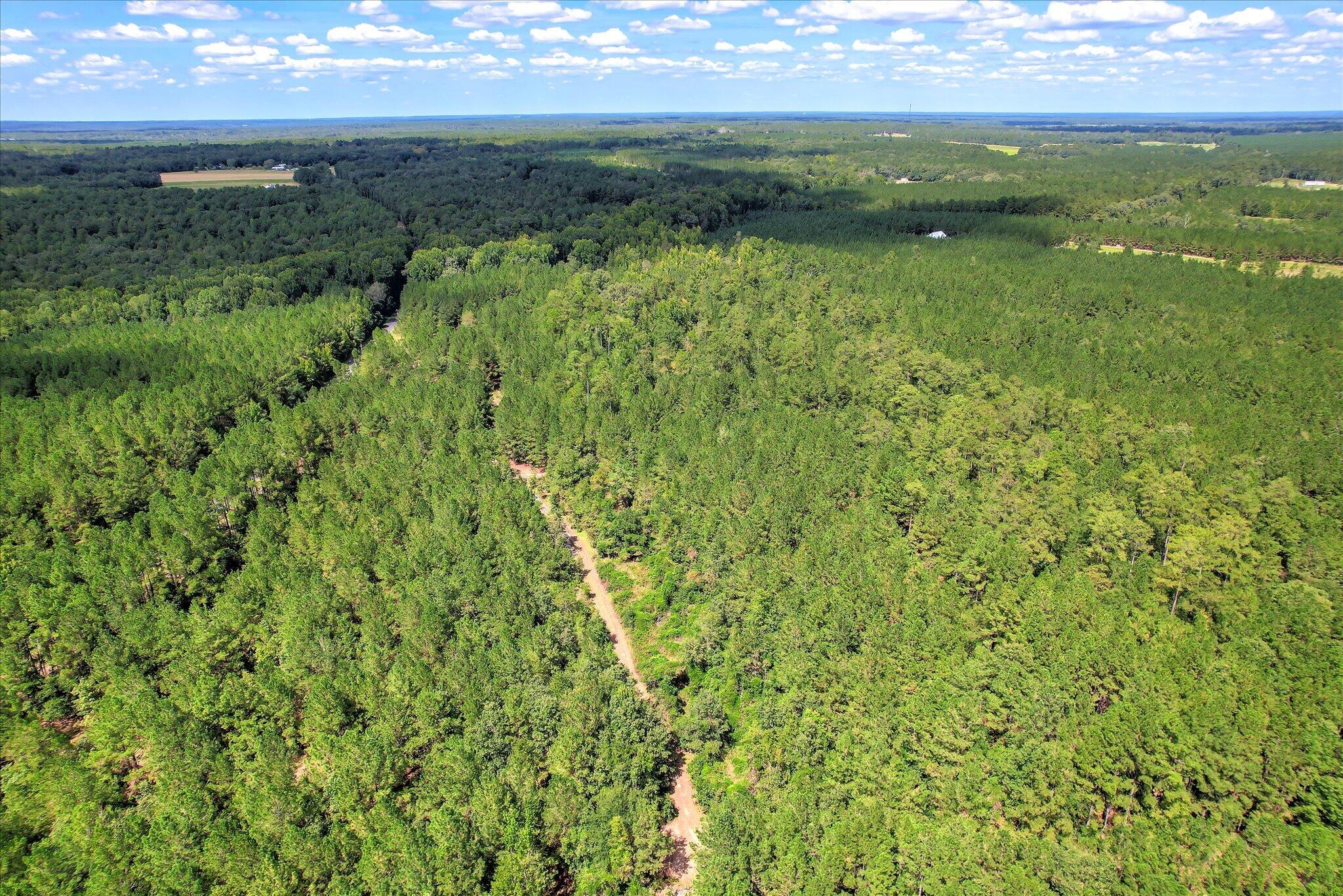 64.68 Acre Mt Beulah Road