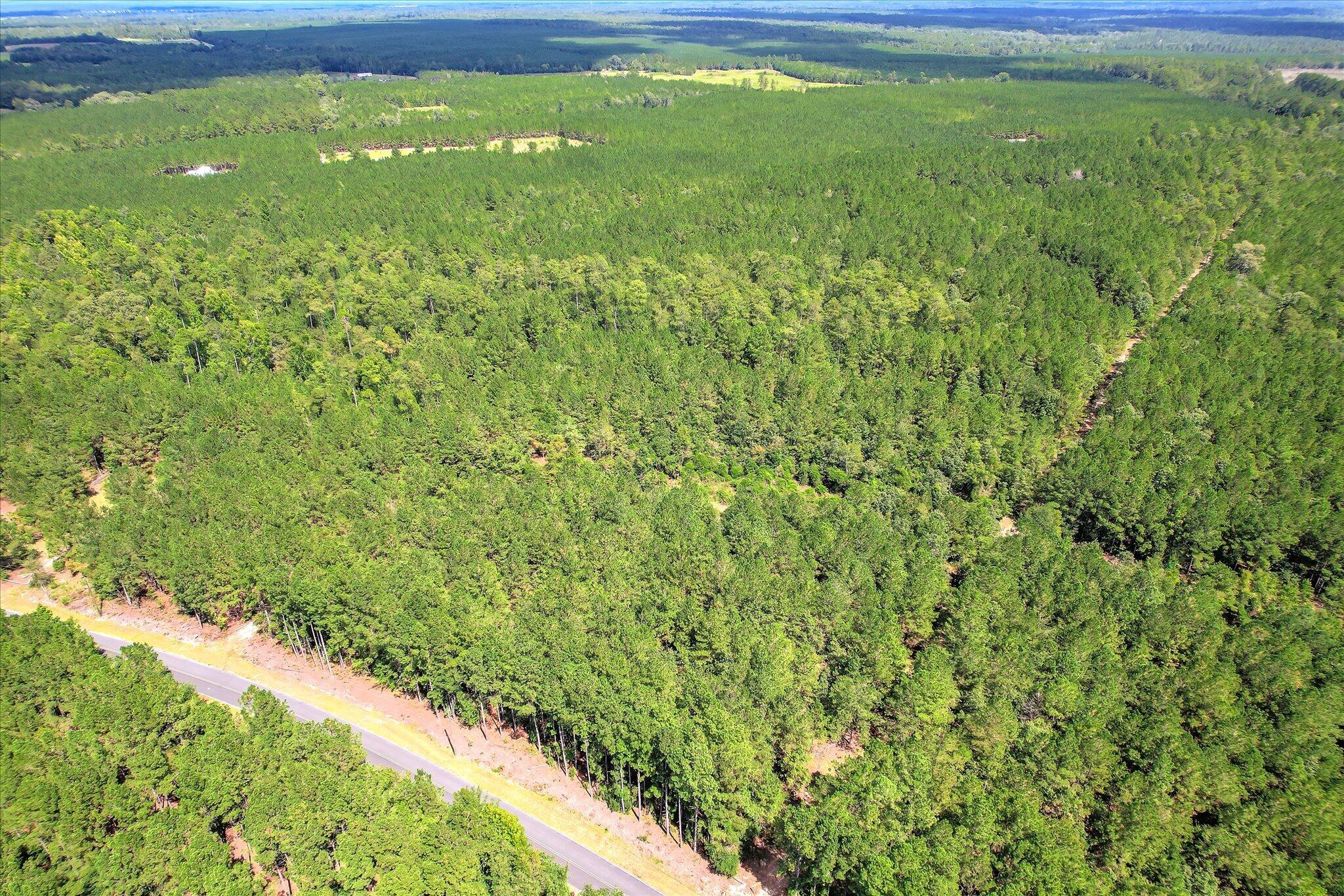 64.68 Acre Mt Beulah Road