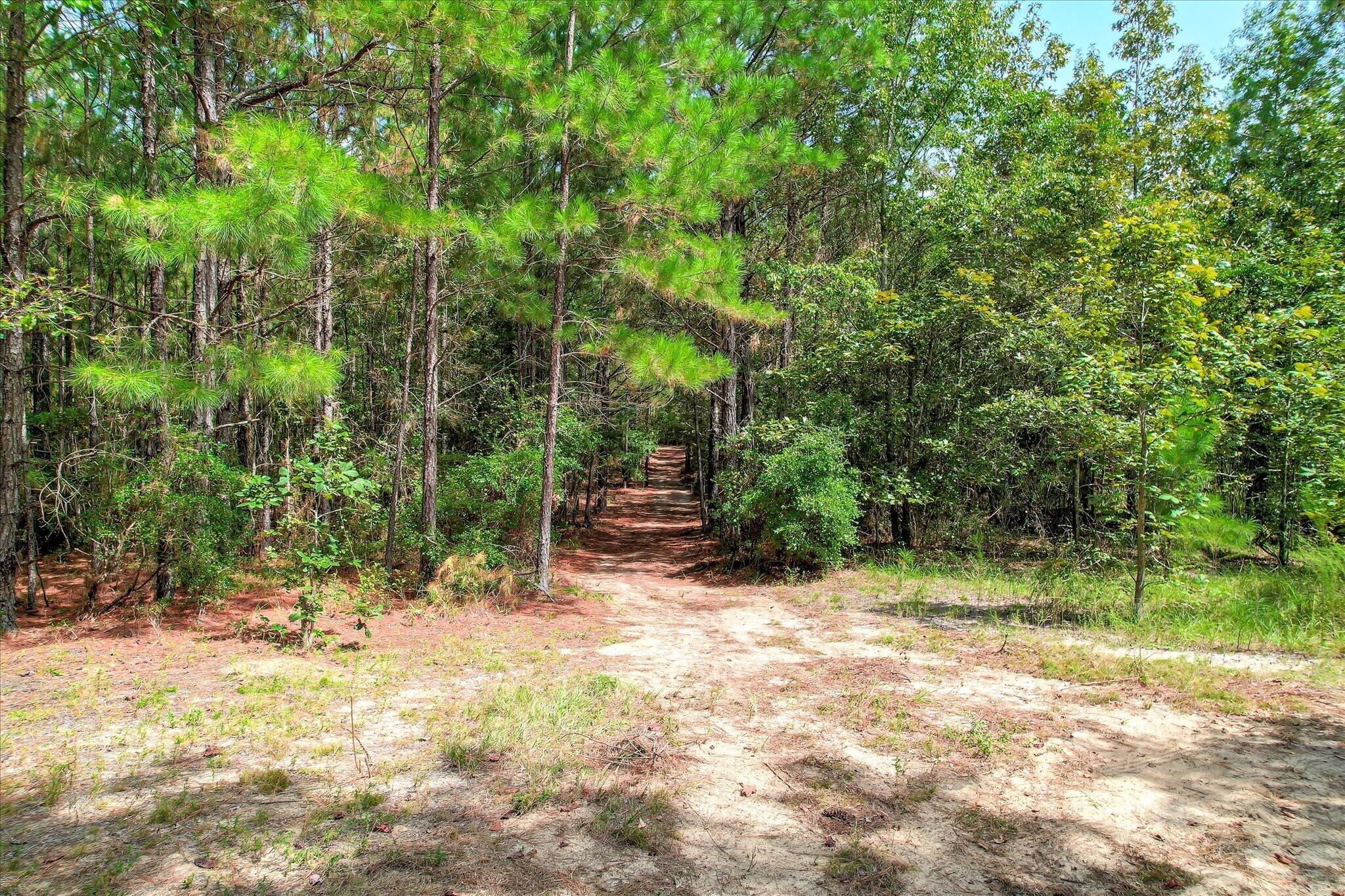 64.68 Acre Mt Beulah Road
