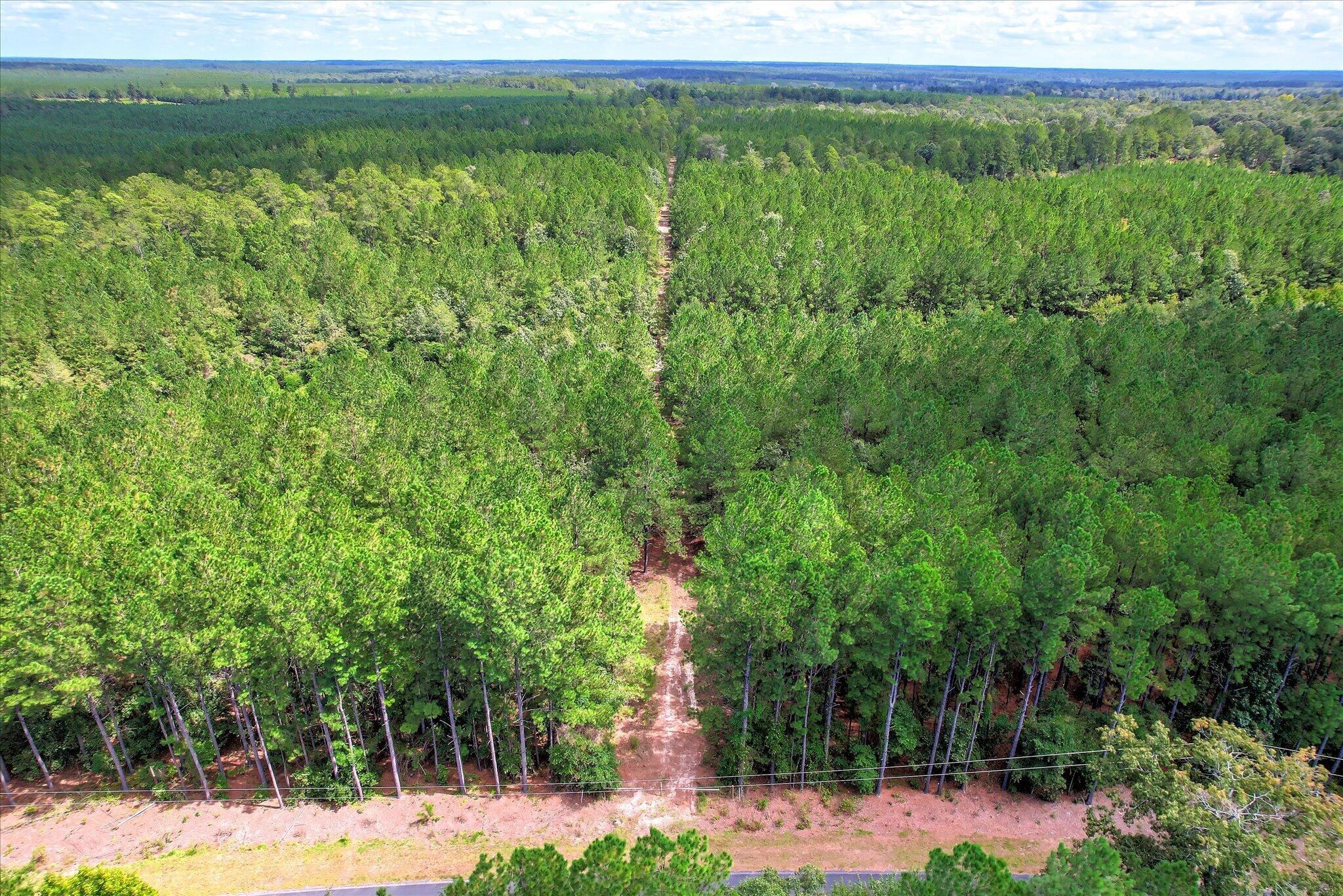 64.68 Acre Mt Beulah Road