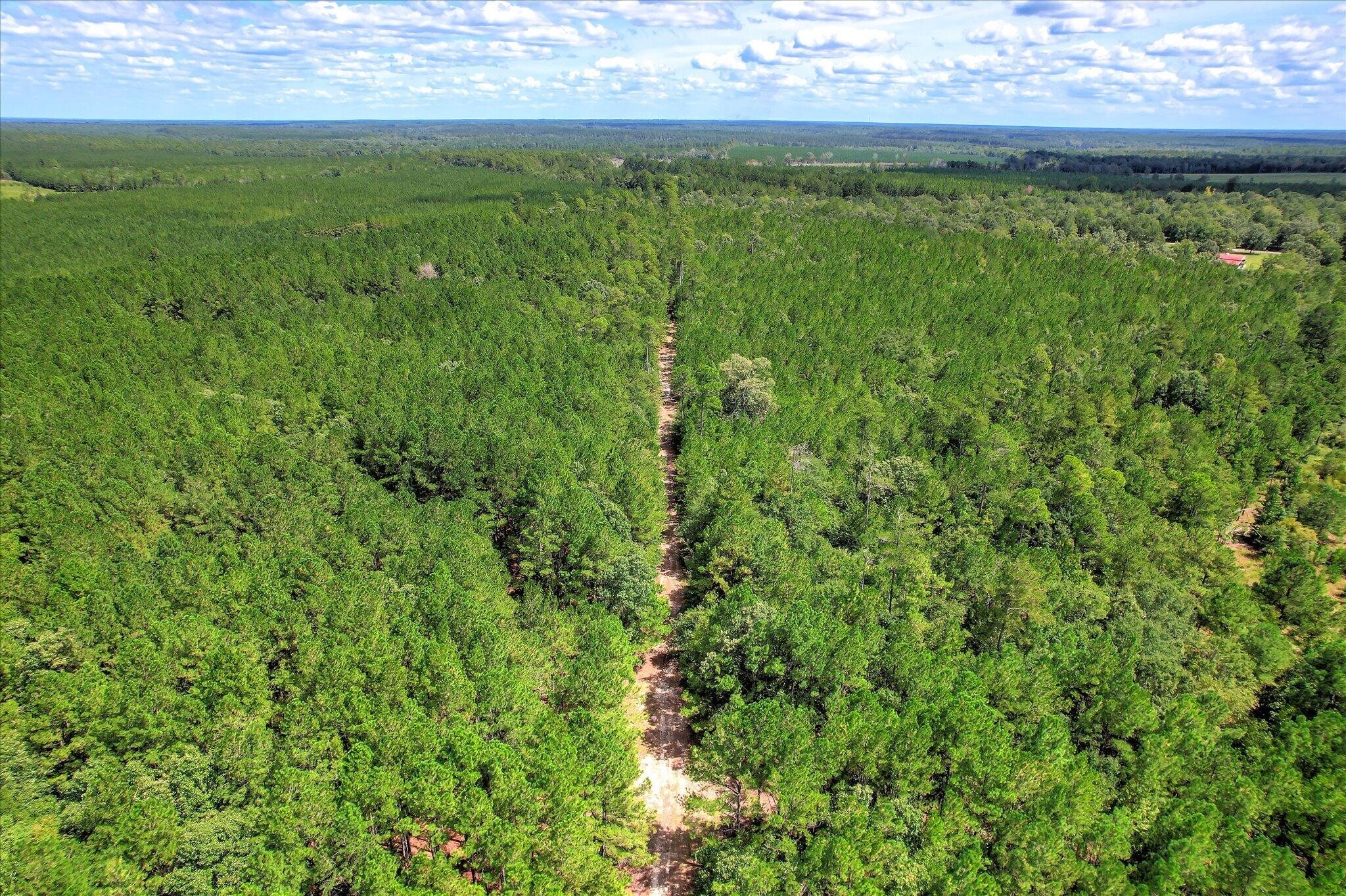 64.68 Acre Mt Beulah Road