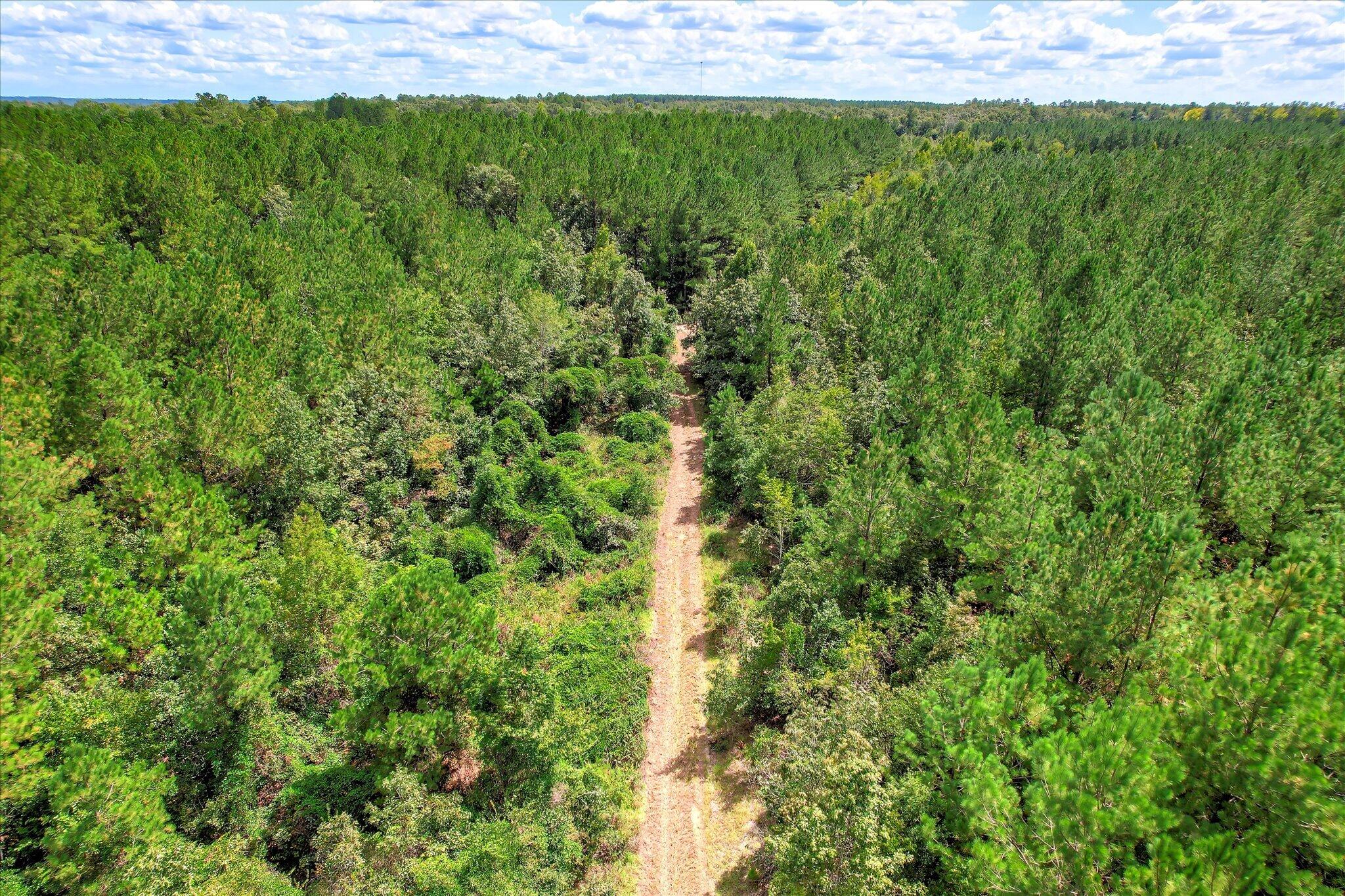 64.68 Acre Mt Beulah Road
