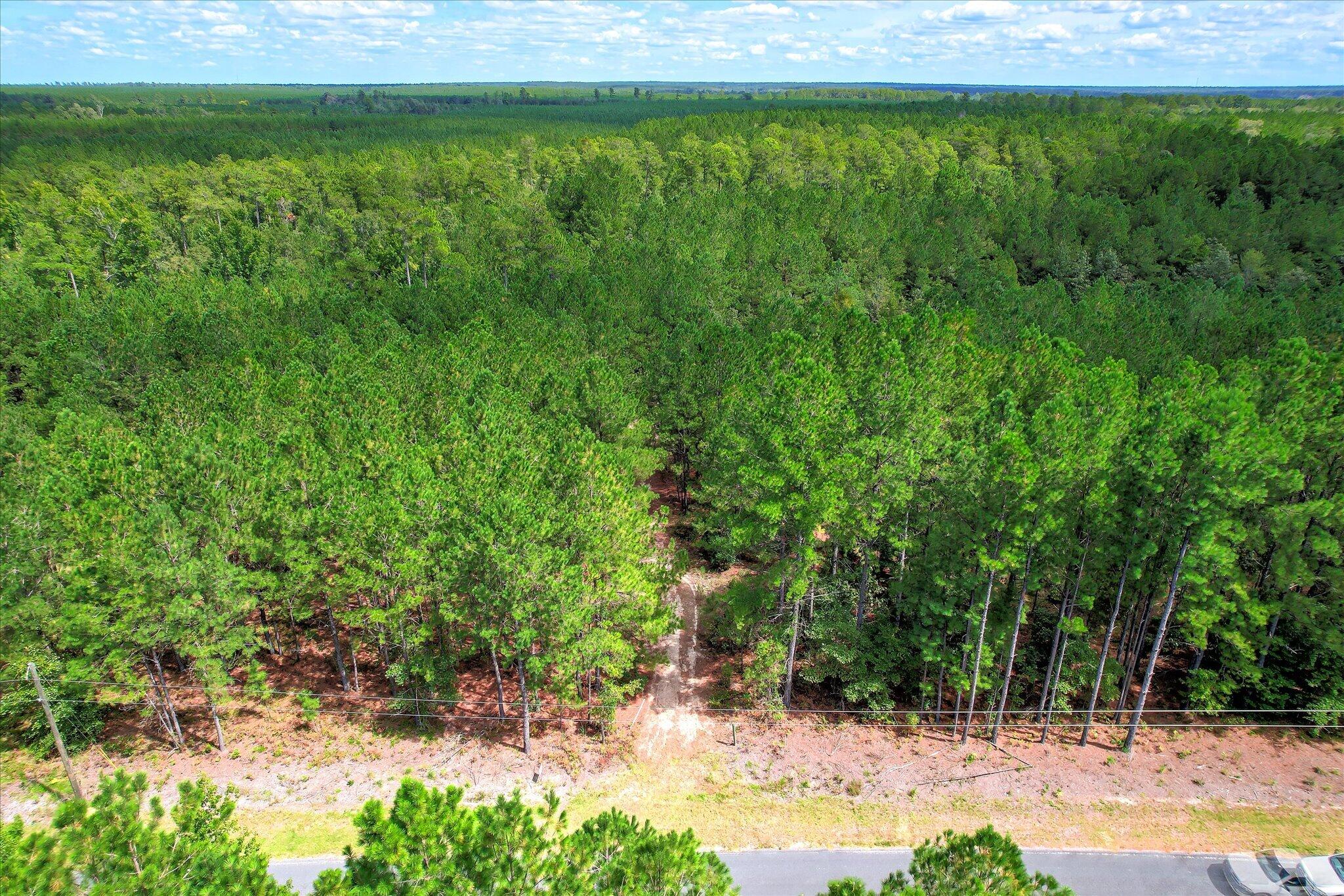 64.68 Acre Mt Beulah Road