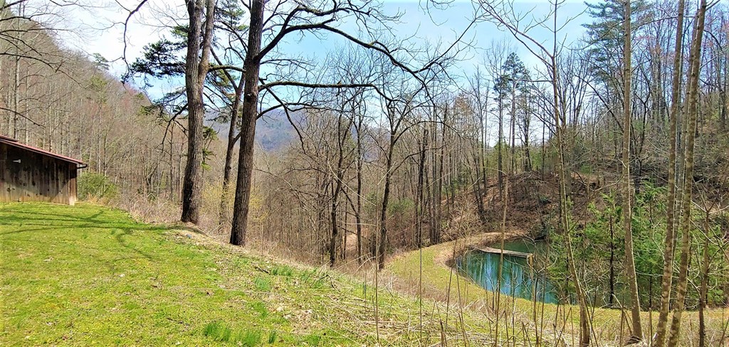 472 Hallelujah Acres