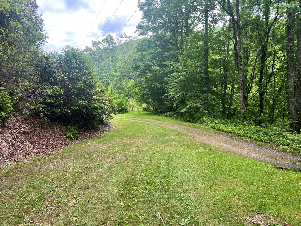 2060 Sam Dills Rd