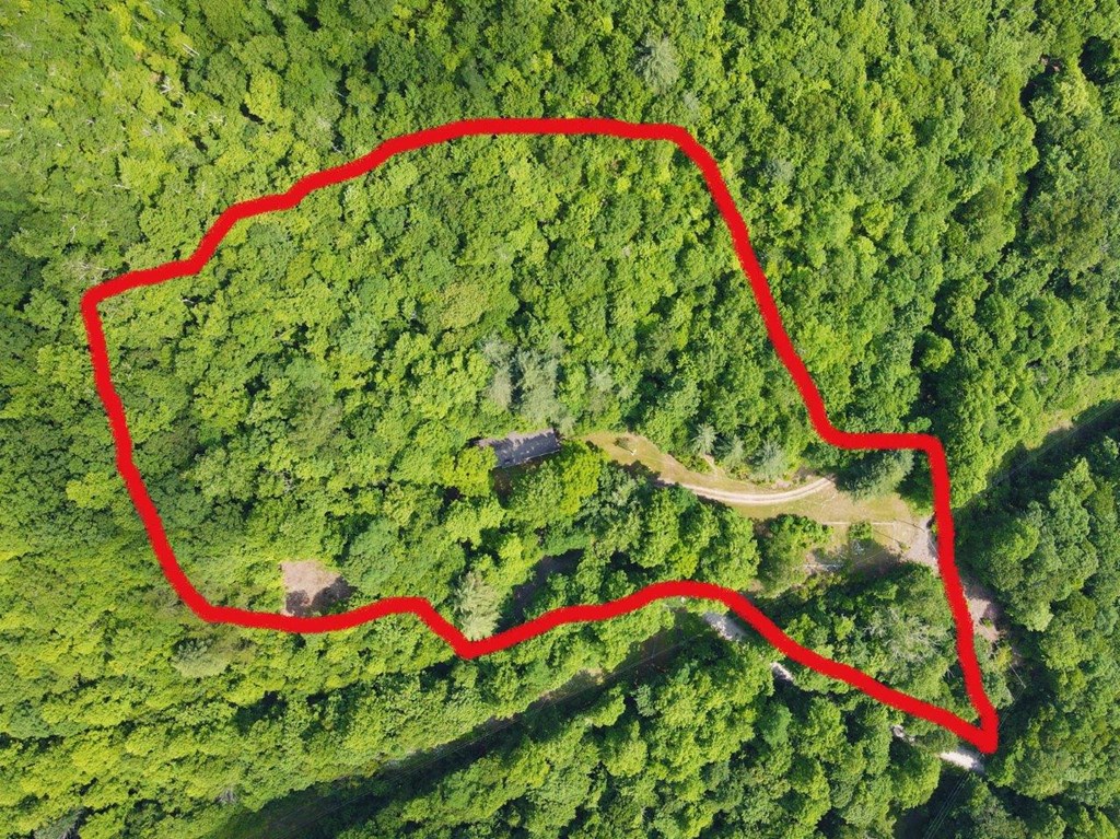 2060 Sam Dills Rd