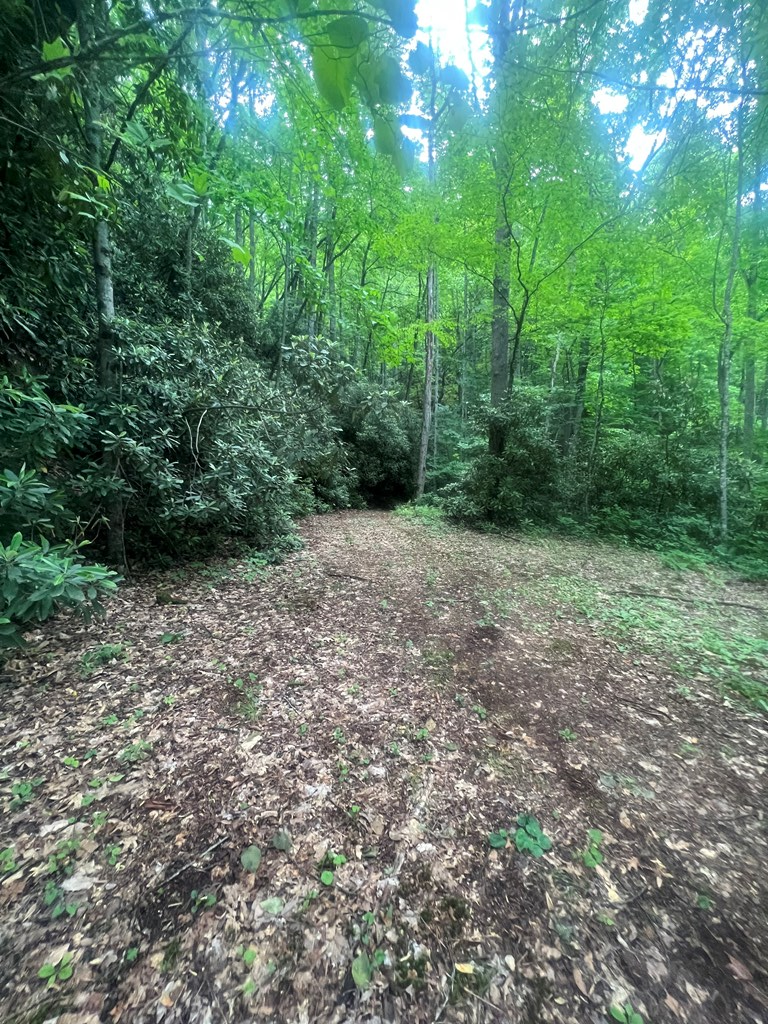 2060 Sam Dills Rd