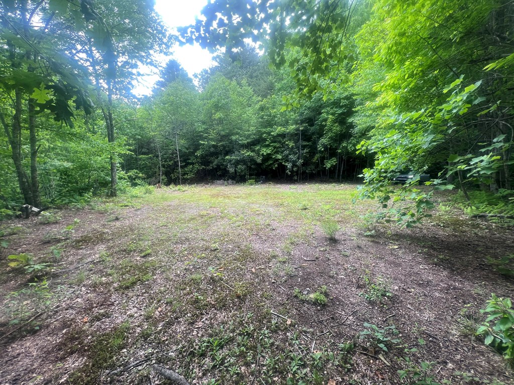 2060 Sam Dills Rd