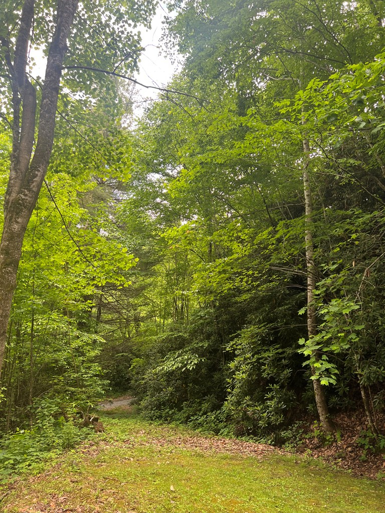 2060 Sam Dills Rd