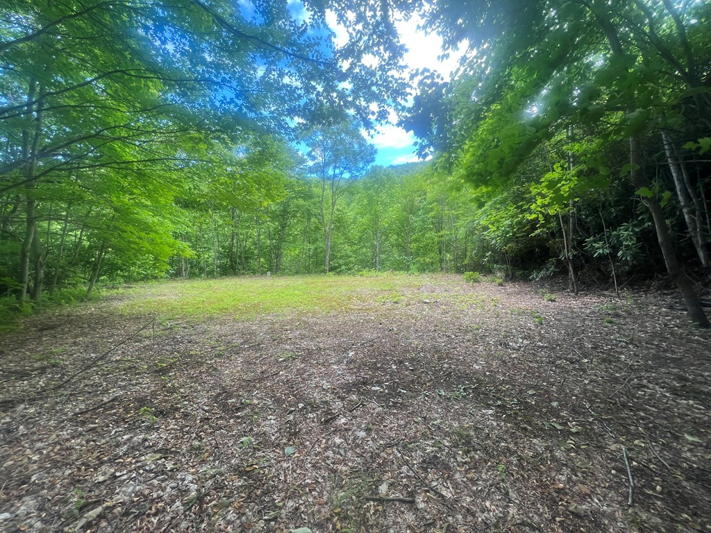 2060 Sam Dills Rd