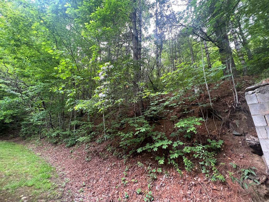 2060 Sam Dills Rd