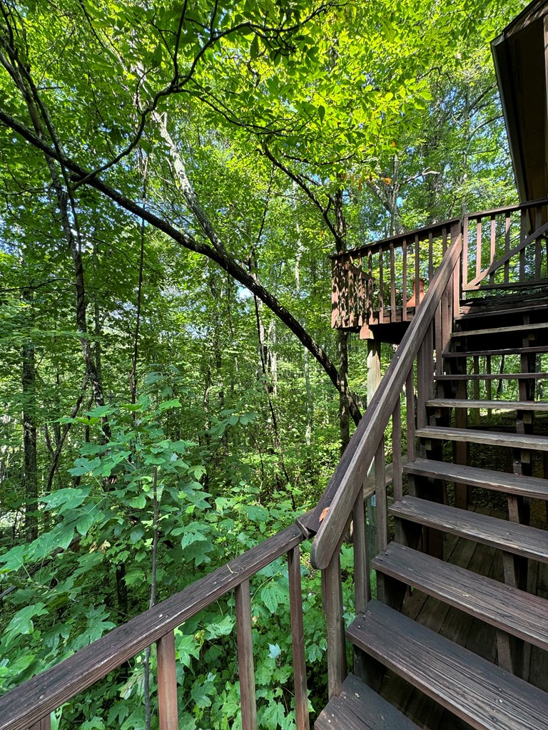 1875 Battle Branch Rd