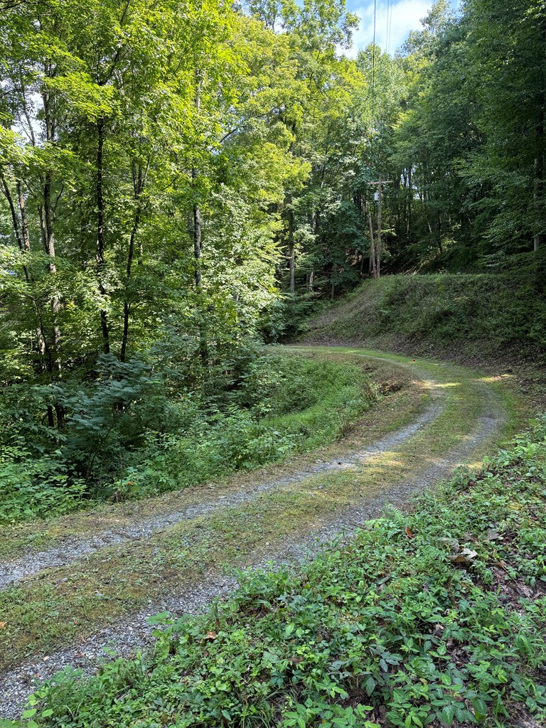 1875 Battle Branch Rd