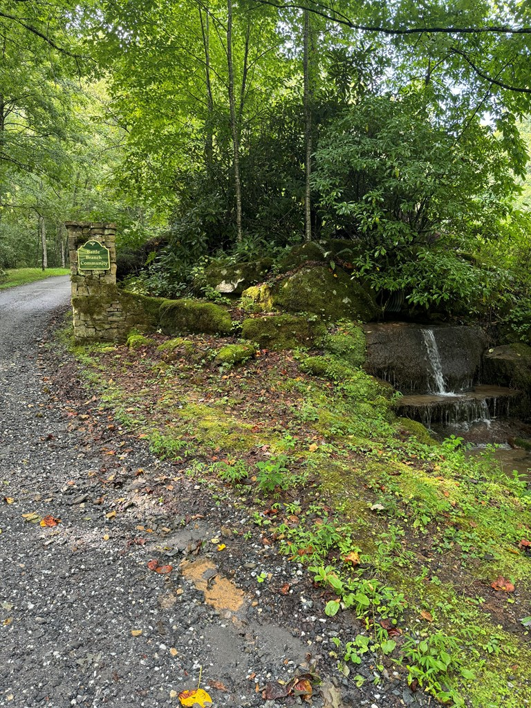 1875 Battle Branch Rd