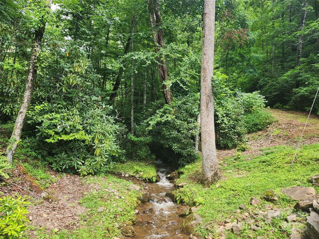 9 Red Leafe Trail
