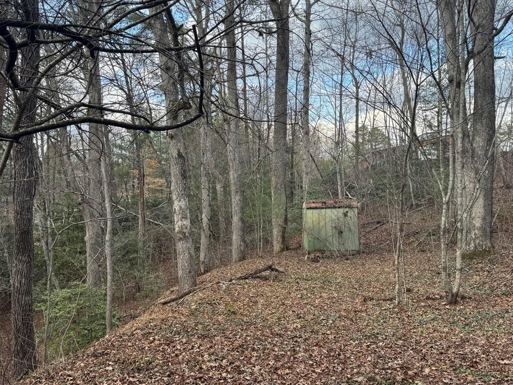 111 Rose Creek