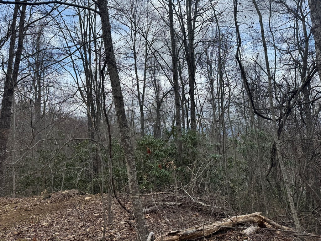 Lot K Hawks Ridge Drive