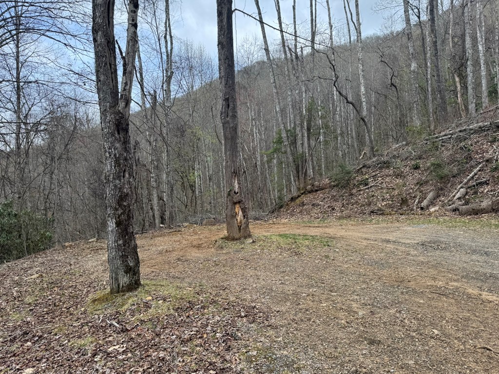 Lot K Hawks Ridge Drive