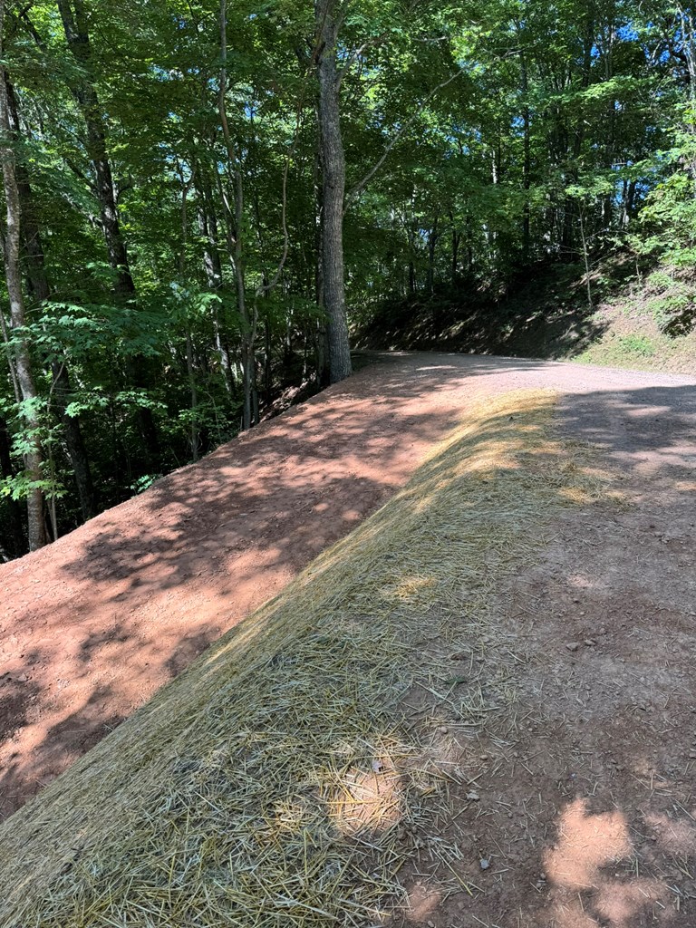 Lot 97 Hosta Dr