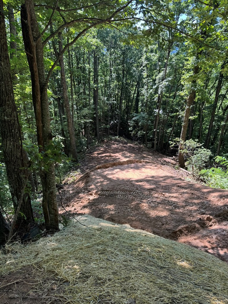 Lot 97 Hosta Dr