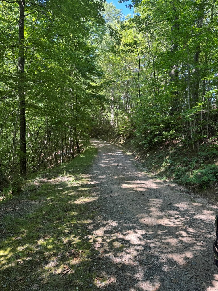 Lot 97 Hosta Dr
