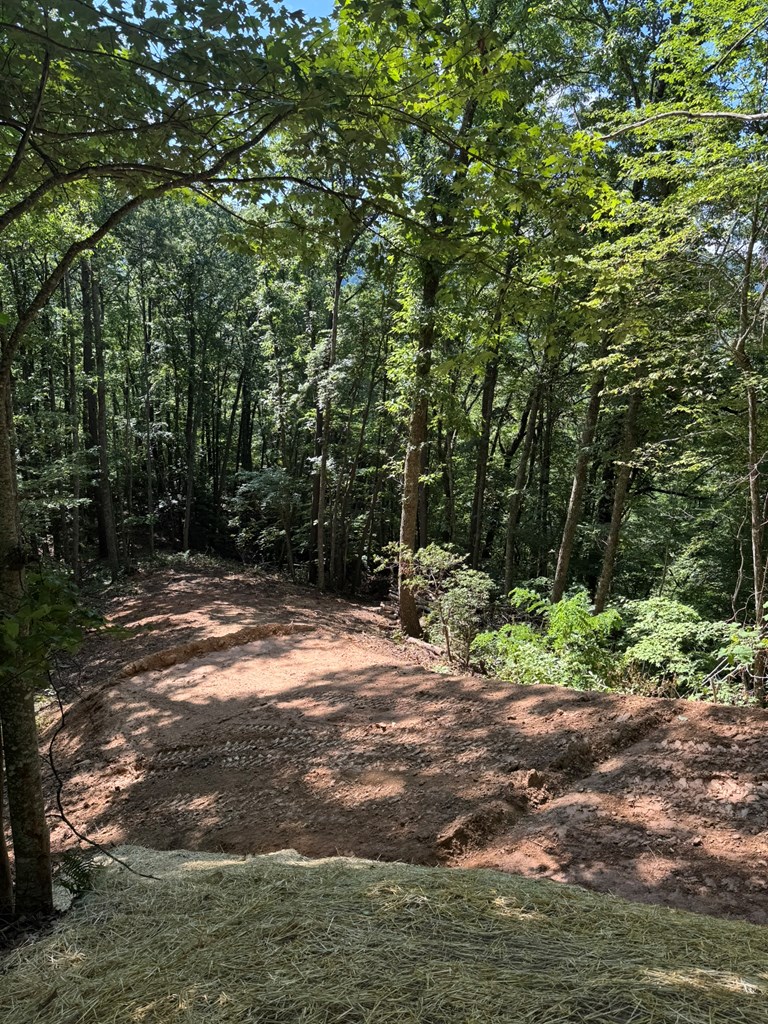 Lot 97 Hosta Dr