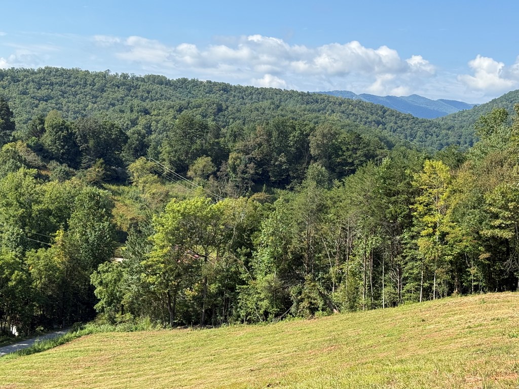 205 Crawford Cove Road