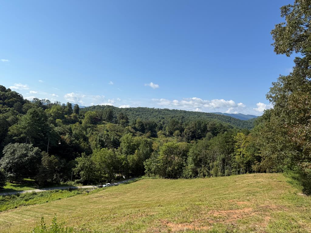 205 Crawford Cove Road