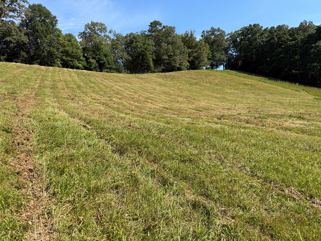 205 Crawford Cove Road