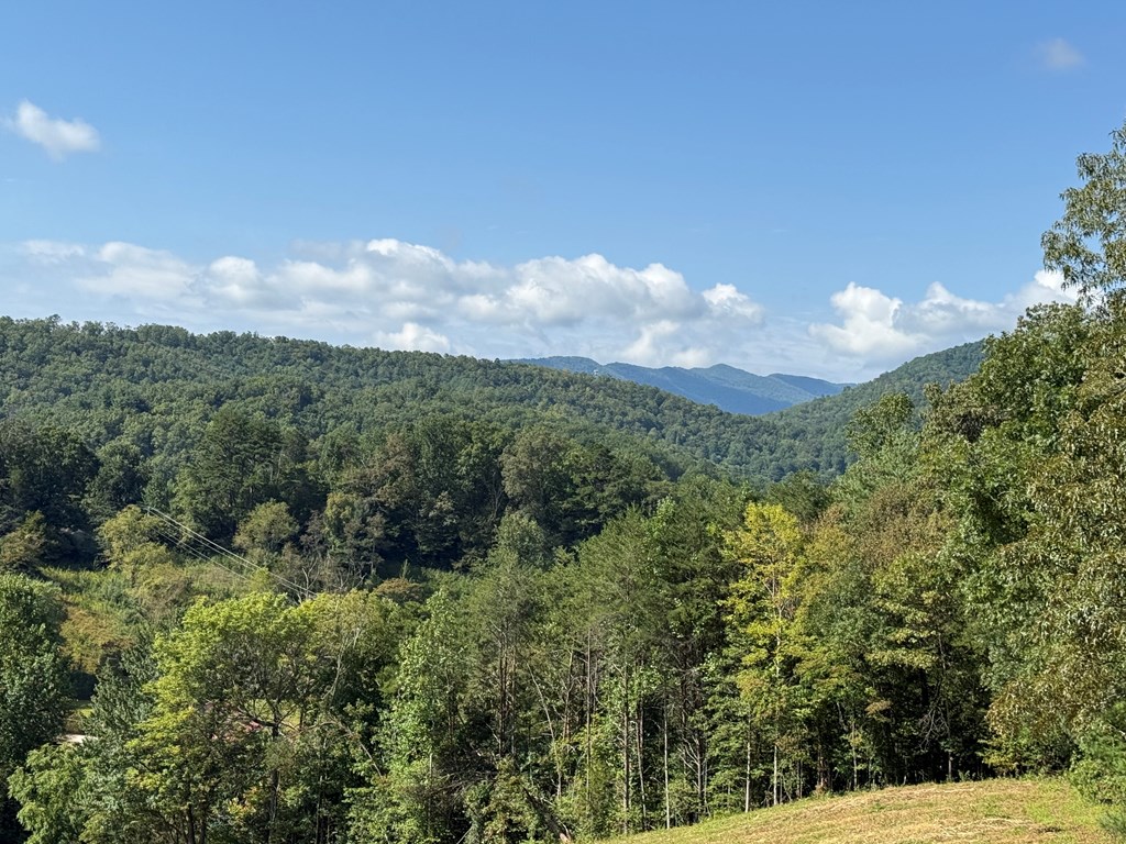 205 Crawford Cove Road