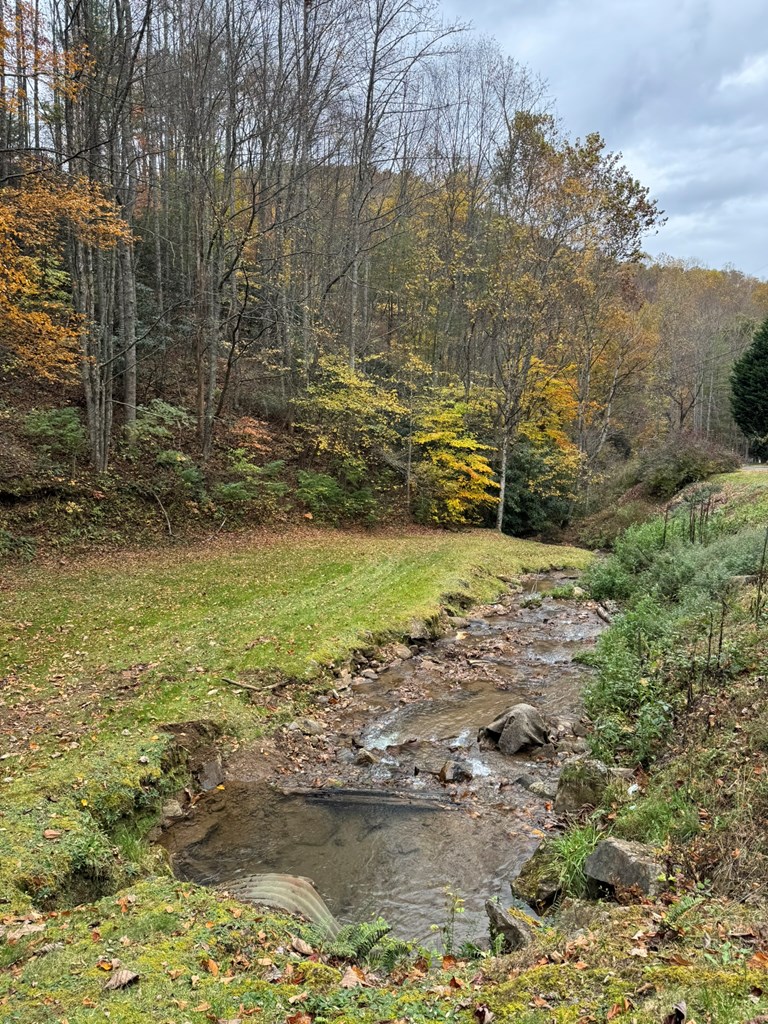 00 Pumpkintown Road, Sylva