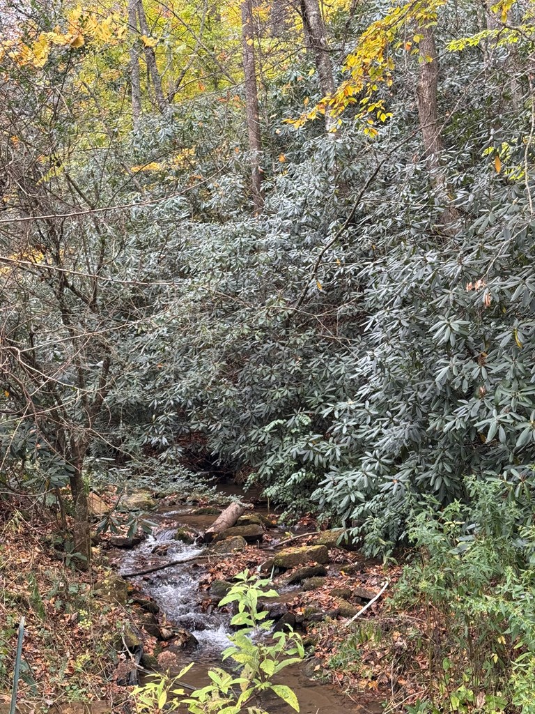 00 Pumpkintown Road, Sylva