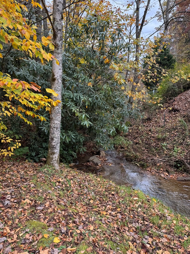 00 Pumpkintown Road, Sylva