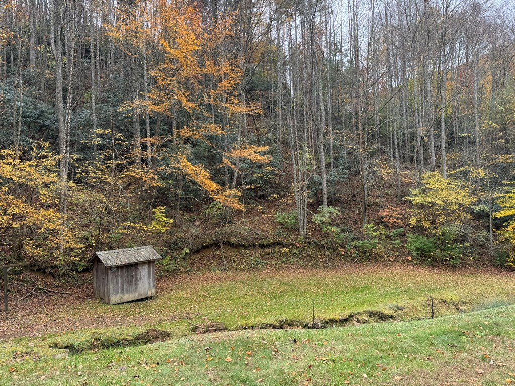 00 Pumpkintown Road, Sylva