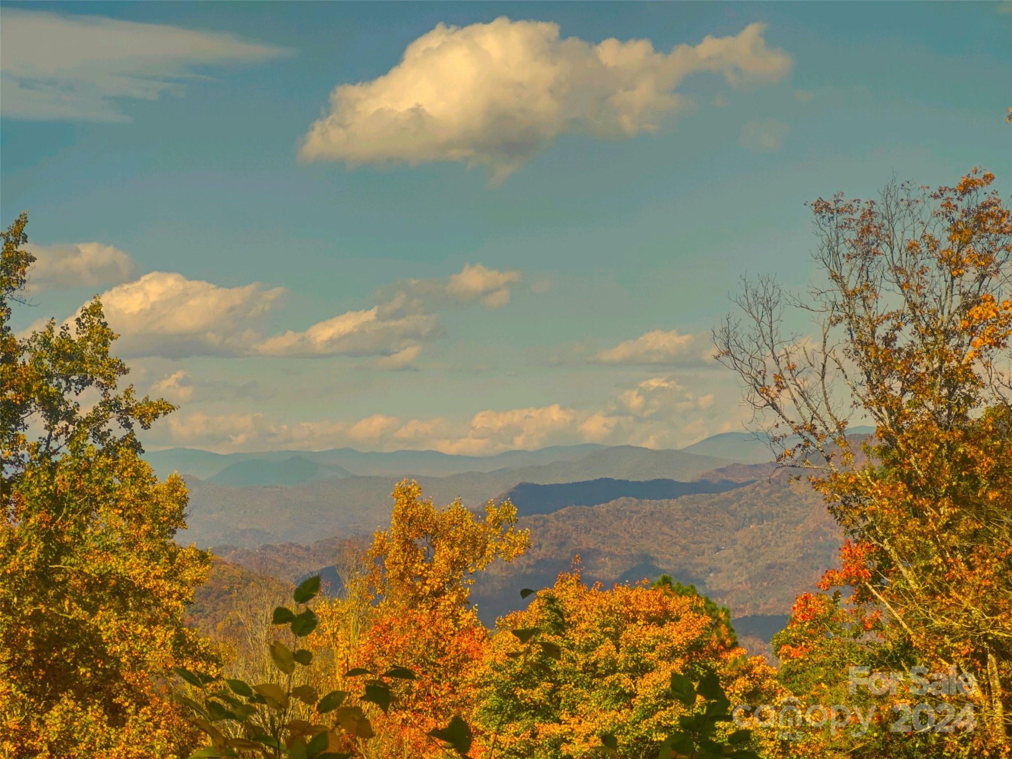 Sylva