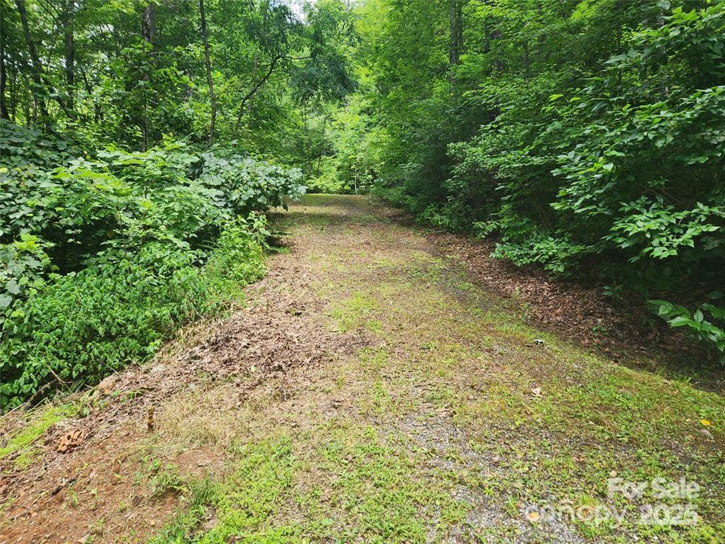 9 Red Leafe Trail