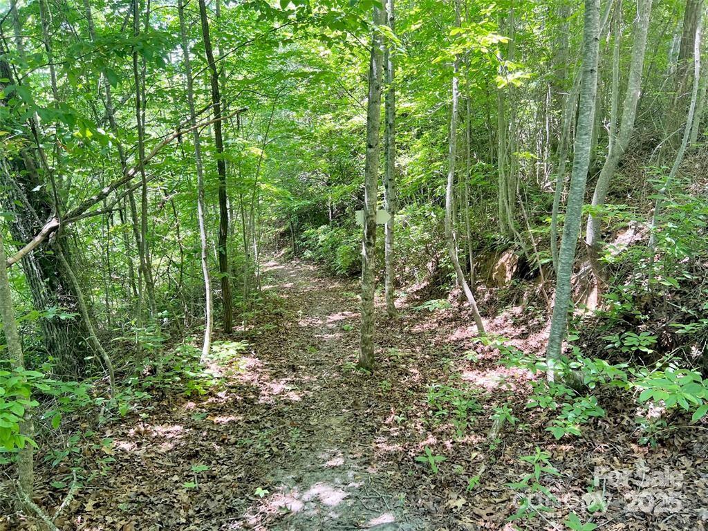 521 Signal Ridge