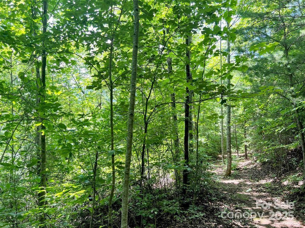 521 Signal Ridge