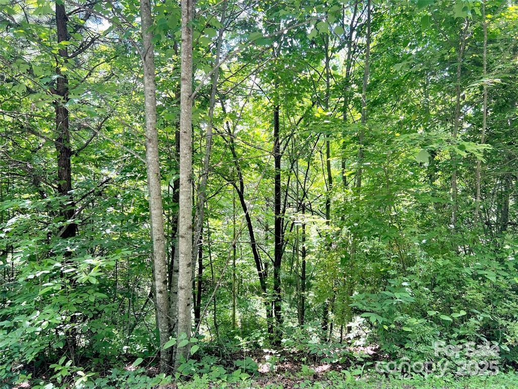 521 Signal Ridge