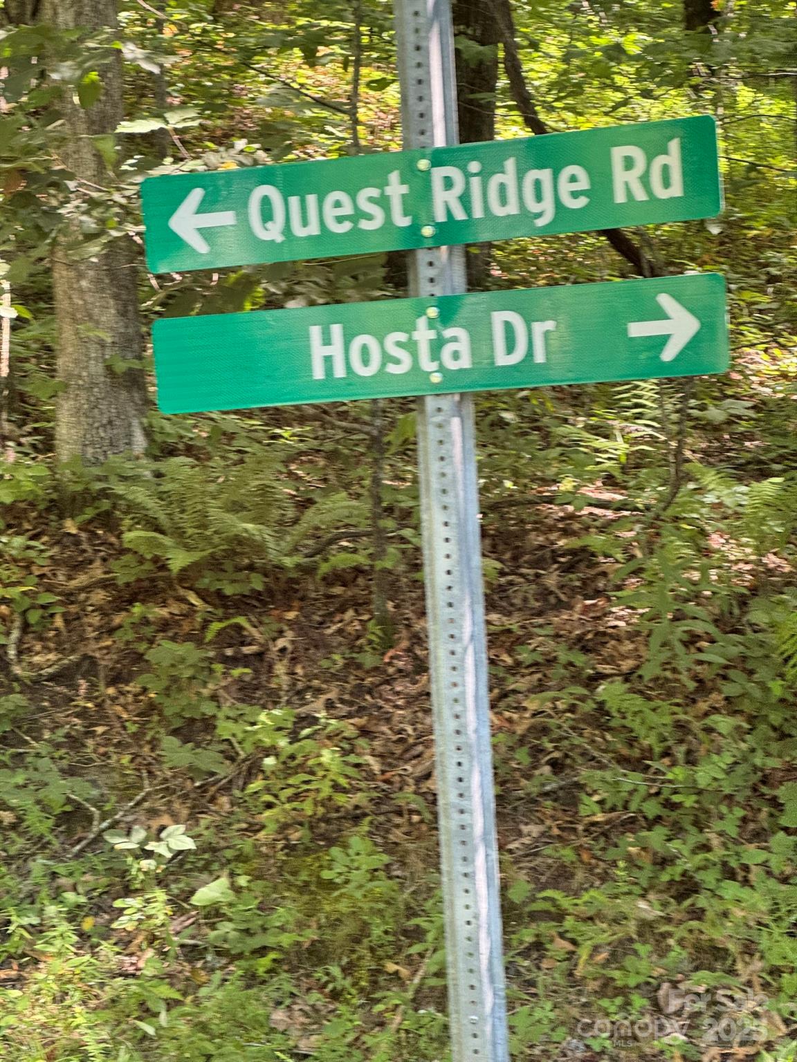 97 Hosta Drive